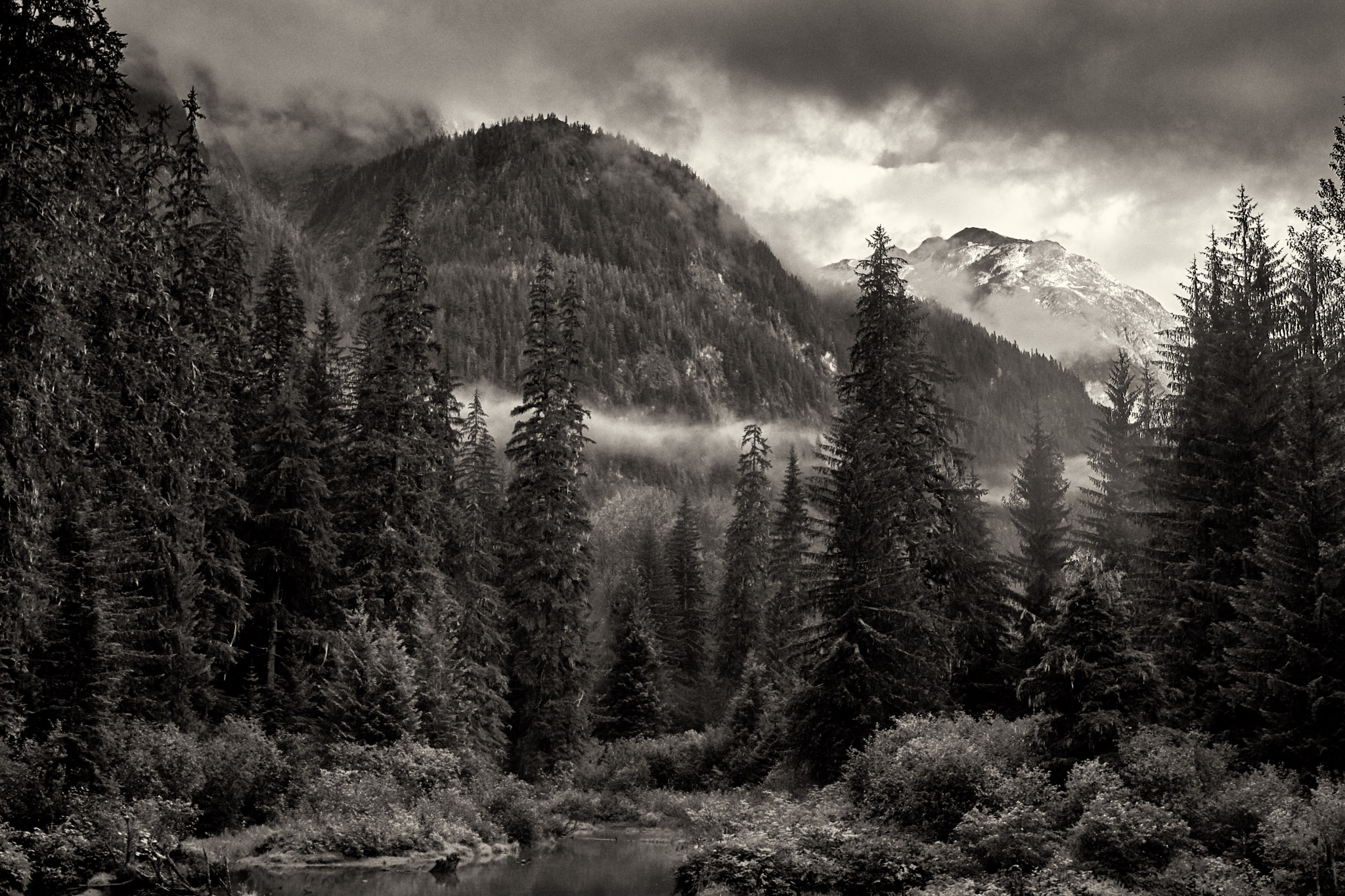 Hyder, Alaska - Landscape