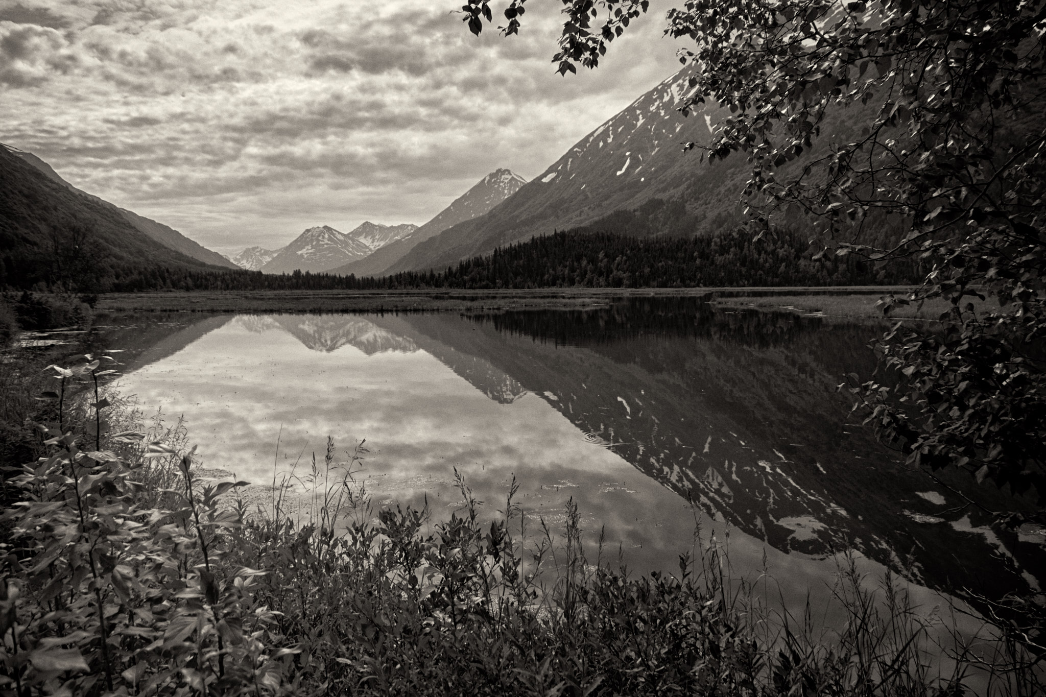 Alaska Reflection
